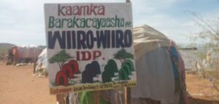 Barakacayaal ku nool Baladweyne oo codsaday in la caawiyo