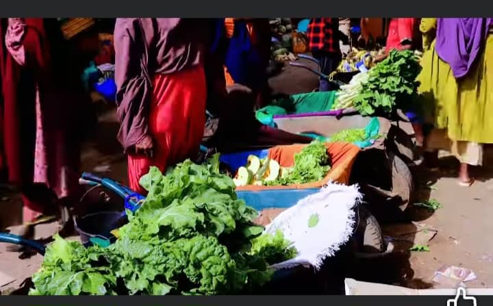 Sare u kac ku yimid qiimaha qudaarta Baydhabo