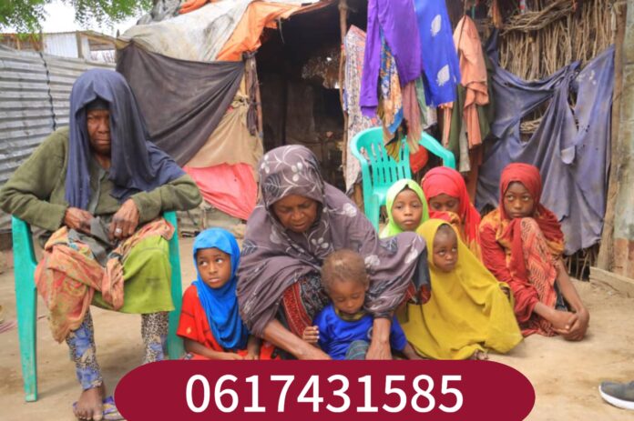 WhatsApp Image 2025-04-11 at 8.44.56 AM