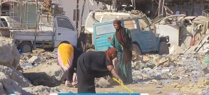 WhatsApp Image 2025-04-12 at 11.13.20 AM