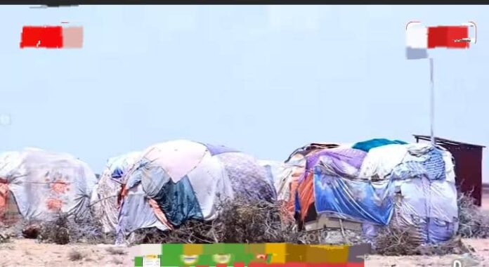 WhatsApp Image 2025-04-12 at 3.36.37 PM