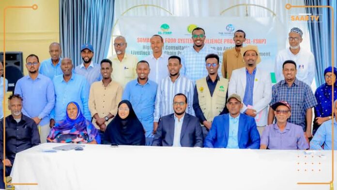 WhatsApp Image 2025-04-16 at 4.54.18 PM