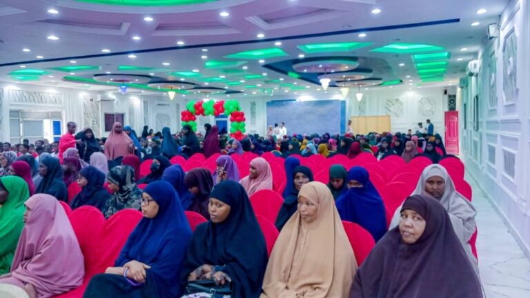 In ka badan 120 ardey oo ka qalin jabisay machadka Ileys ee Baladweyne.