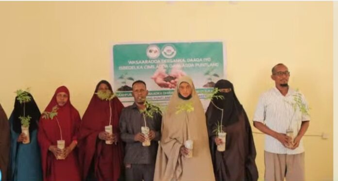 WhatsApp Image 2025-04-21 at 5.51.33 PM