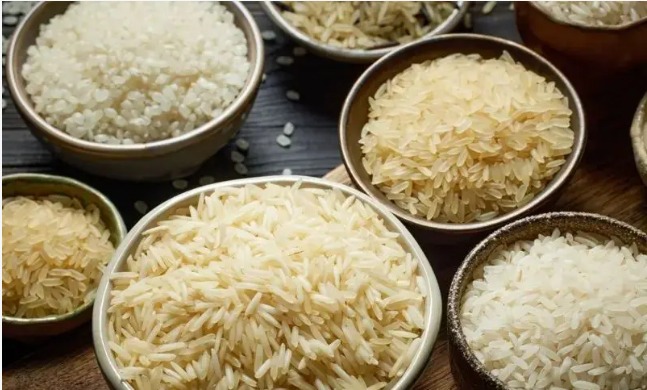 WhatsApp Image 2025-04-21 at 5.55.51 PM