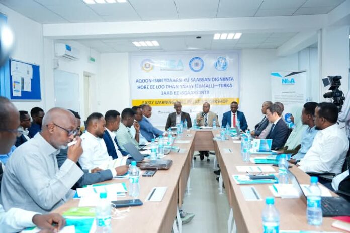 WhatsApp Image 2025-04-29 at 6.47.24 PM