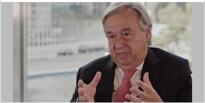 WhatsApp Image 2025-04-30 at 6.15.31 PM