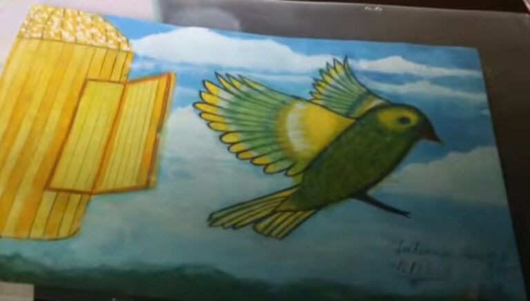 Shaqo la’aan soo wajahday dhalinyarada ku shaqeysan jirtay Farshaxanka ee Baladweyne.