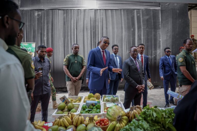 Shirweynaha qaran ee maalgashiga cuntada iyo beeraha oo ka furmay magaalada Muqdisho.