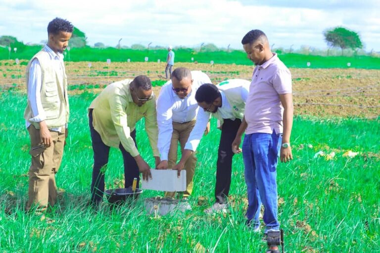 Dhismaha guri iyo ceelbiyood  loogu talo galay horumarinta beeraha oo laga dhax dhigay duleedka Jowhar.