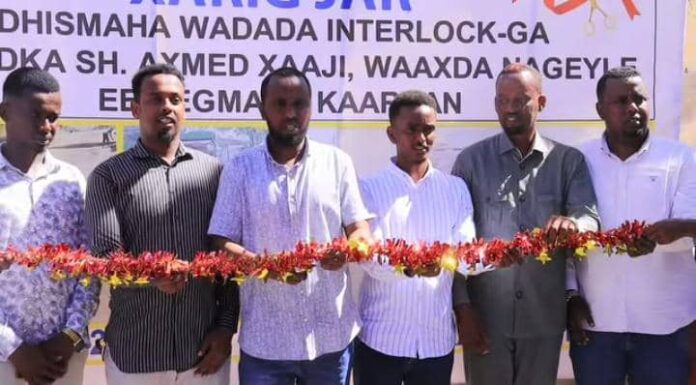 WhatsApp Image 2025-05-04 at 2.35.09 PM