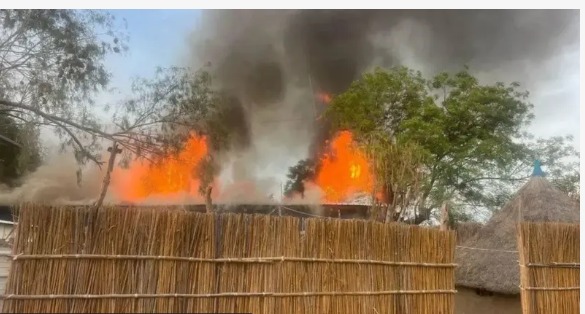 WhatsApp Image 2025-05-04 at 8.01.00 PM