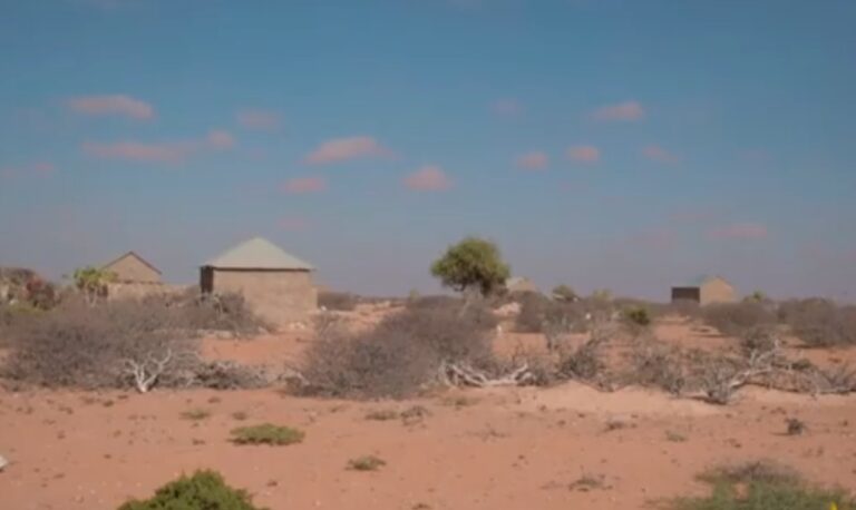 Daawo yari ka jirta xarumaha caafimaadka deegaanka Bajeela ee gobolka Mudug.