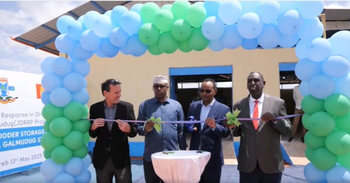 WhatsApp Image 2025-05-13 at 6.13.19 PM