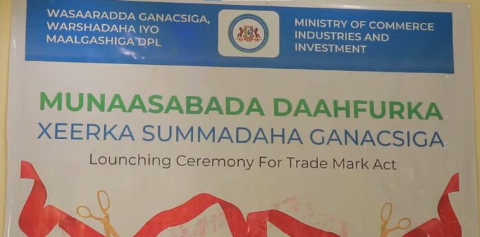 WhatsApp Image 2025-05-13 at 6.50.28 PM