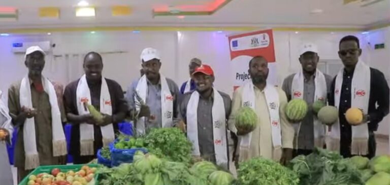 Bandhiga wax soo saarka beeraha gobolka Bari oo lagu qabtay Boosaaso.