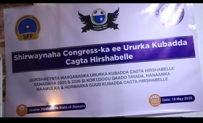 WhatsApp Image 2025-05-20 at 5.16.09 PM