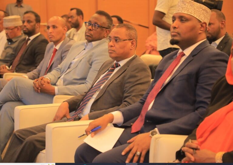 Shirweynaha  falanqeynta saameynta dhaqaale  ee qaab-dhismeedka Dastuurka oo lagu qabtay Muqdisho.