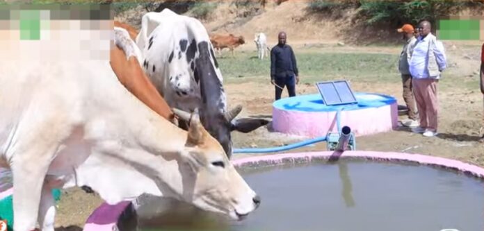 WhatsApp Image 2025-05-25 at 7.01.38 PM