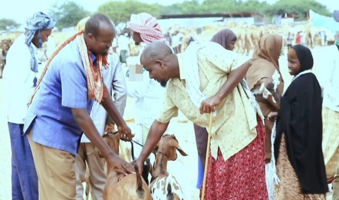 WhatsApp Image 2025-05-26 at 1.41.27 PM