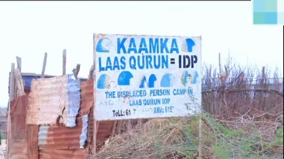 WhatsApp Image 2025-05-30 at 8.24.30 AM