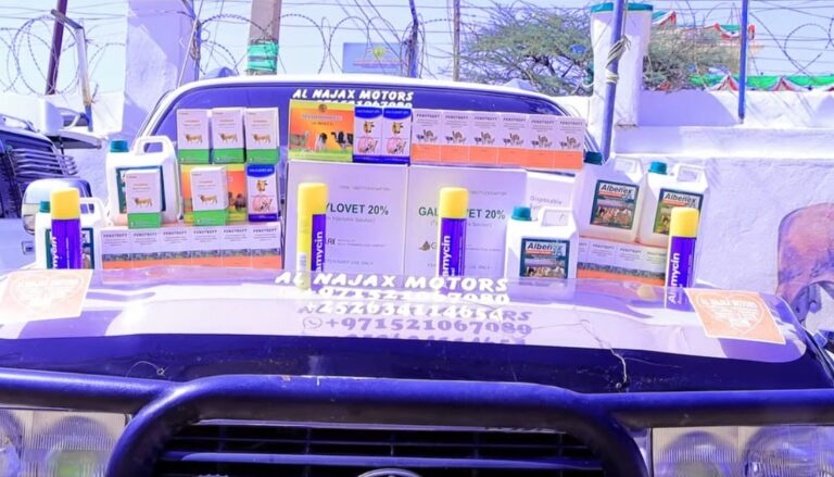 Ololaha daweeynta iyo talaalka xoolaha oo laga bilaabay Hargeysa