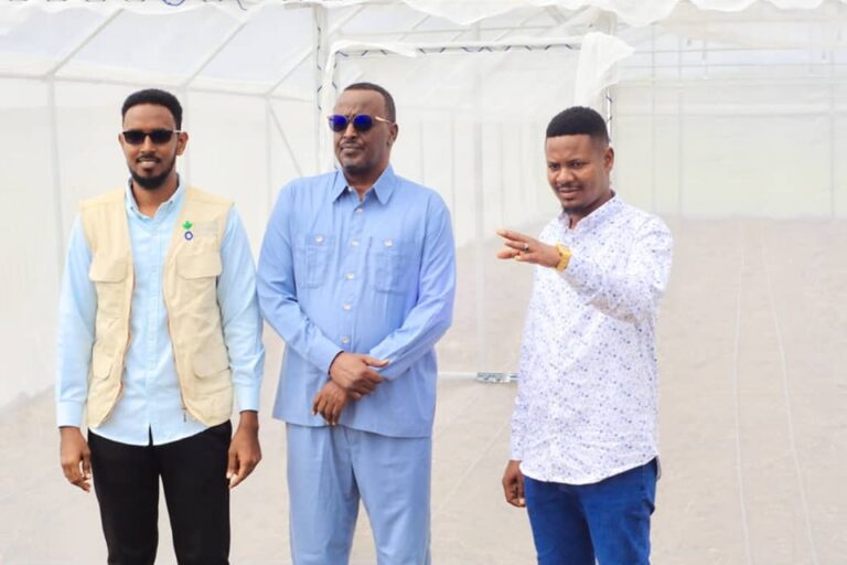 Green House  loogu talagalay horumarinta beeraha oo laga hirgeliyay duleedka Jowhar.