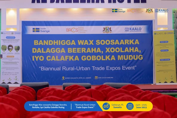 511141050_1229665131896697_2015940112948656765_n