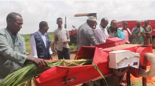 55e76aee-e19d-4164-af75-751bce423771