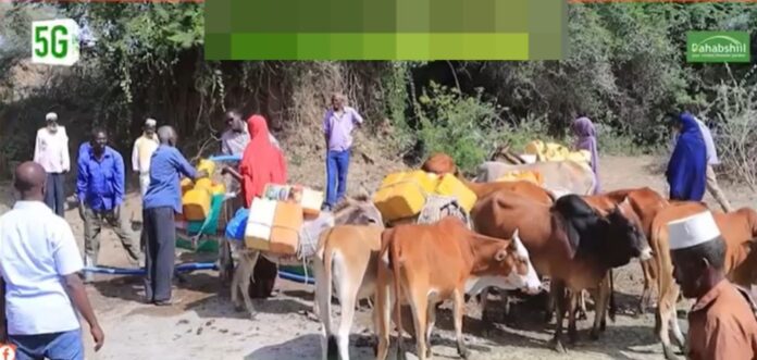 60c41d36-577f-4839-8a11-fa5c9877de01