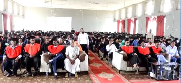 7d17c6ff-b3fc-4736-b8de-4e25edaa2f02