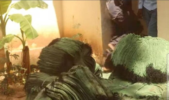 WhatsApp Image 2025-06-01 at 7.18.32 PM