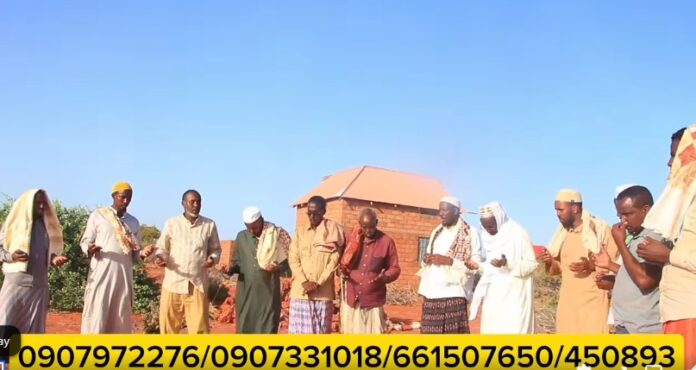 WhatsApp Image 2025-06-10 at 3.25.02 PM