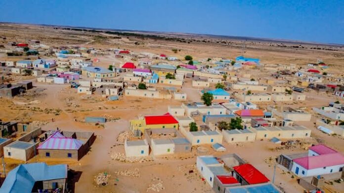 WhatsApp Image 2025-06-20 at 6.39.11 PM