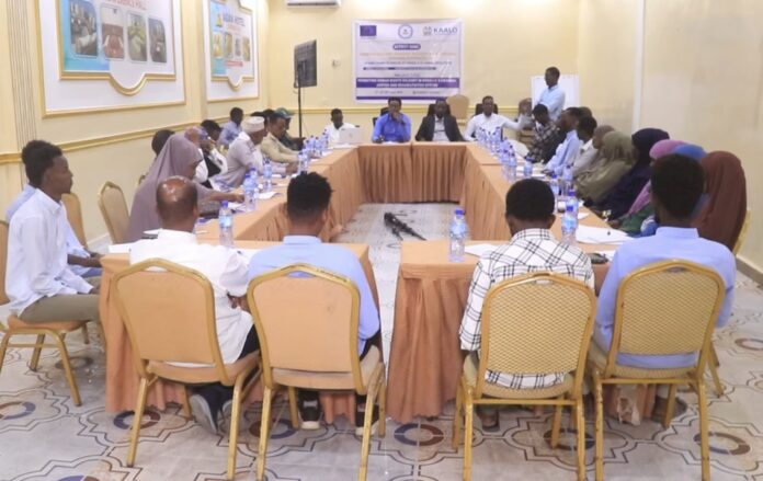 WhatsApp Image 2025-06-22 at 6.18.39 PM (1)