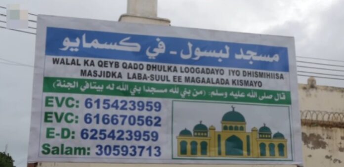 WhatsApp Image 2025-06-25 at 6.09.25 PM (1)