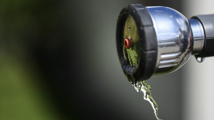 e8dcf288-25da-4b6f-8977-b4755a85f6e9