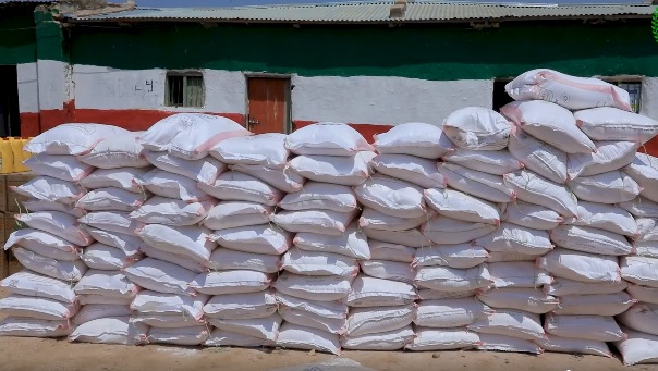 WhatsApp Image 2025-09-10 at 7.11.12 PM