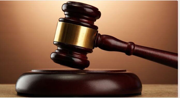 WhatsApp Image 2025-09-13 at 19.30.47