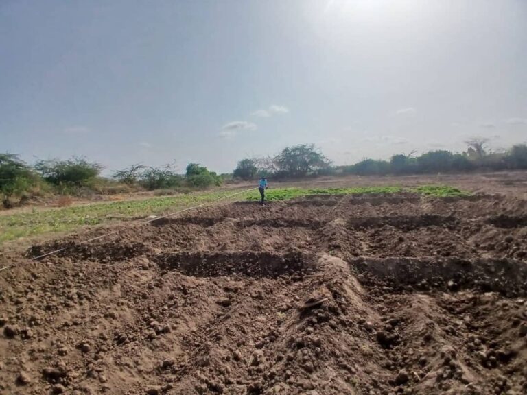 Beeraleeyda Baladweyne oo bilaabaay tacbashada Beeraha